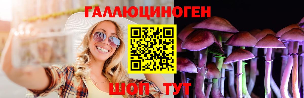 Галлюциногенные грибы GOLDEN TEACHER  Псилоцибиновые грибы Magic Shrooms  Вход с VPN  Сосновый Бор 