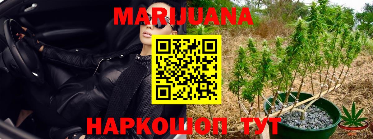 Марихуана White Widow Сосновый Бор